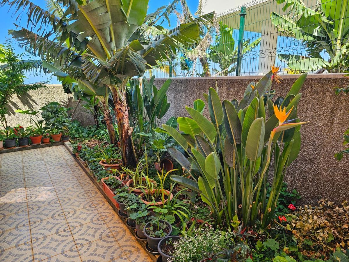 Вилла Casa De Feria Do Livramento Фуншал Экстерьер фото